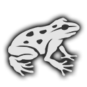 Arrow-poison Frog