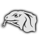 Elite Monitor Lizard