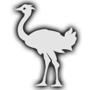 Ostrich